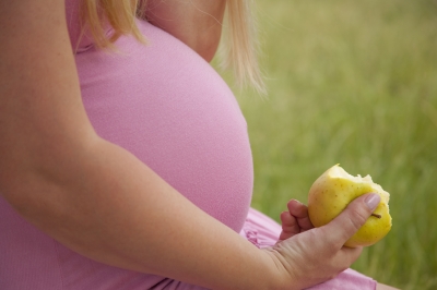 second trimester